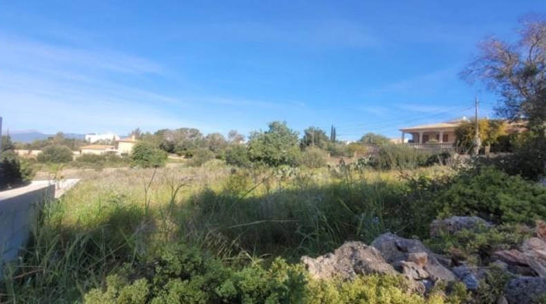 Balearic Islands - sa Cabana - 2400m2