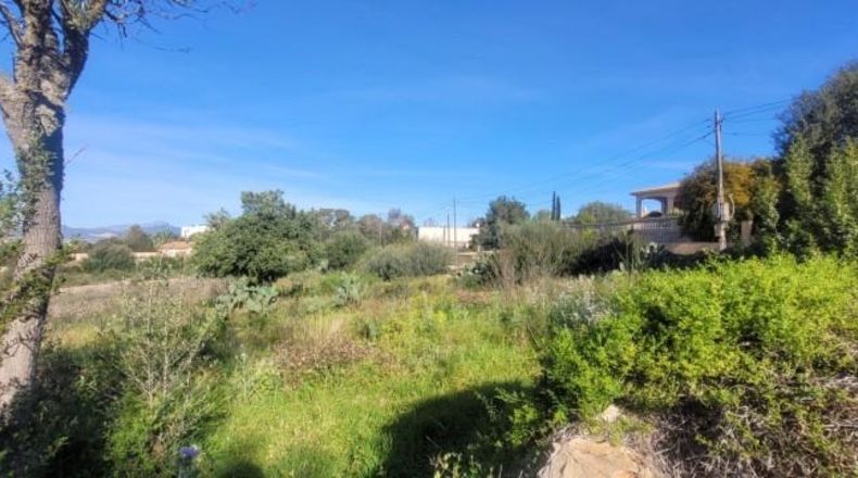 Balearic Islands - sa Cabana - 2400m2