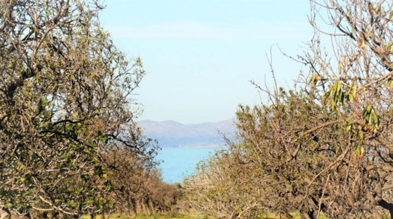 Islas Baleares - Artà - 108m2