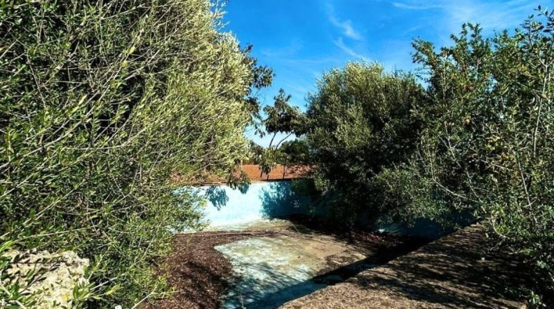 Islas Baleares - Búger - 16000m2