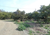 Загородный дом с участком на продажу в городе Vélez-Málaga Фото