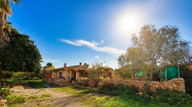 Balearic Islands - Lluchmayor - 365m2