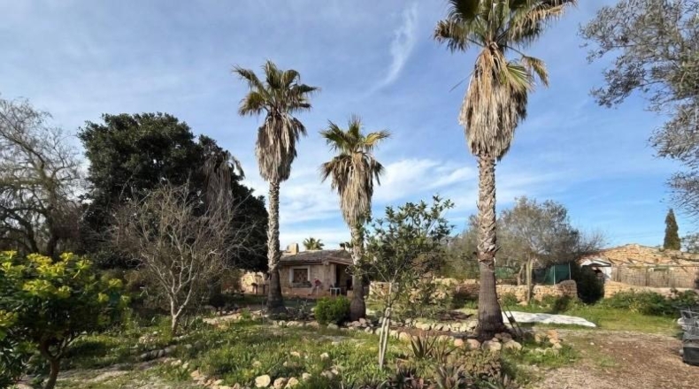 Balearic Islands - Lluchmayor - 365m2