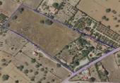 Country house with land for sale on España, Llucmajor, ref: TR389885 photo