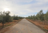 Земля на продажу у города Cozvíjar Фото