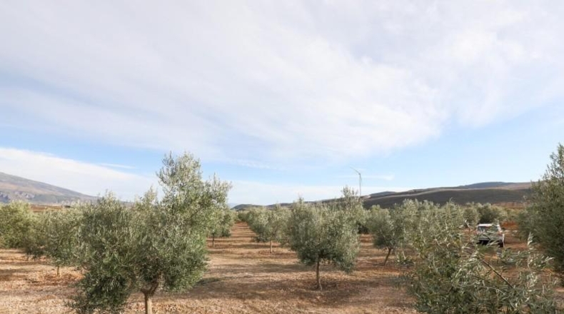 Granada - Cozvíjar - 160000m2
