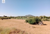 Chalet independiente con terreno en venta en la España, Búger, ref: TR264072 foto