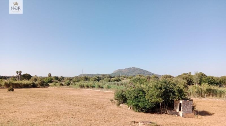 Islas Baleares - Búger - 17500m2