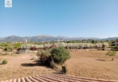 Chalet independiente con terreno en venta en la España, Búger, ref: TR264072 foto