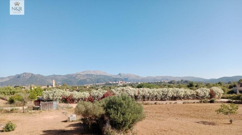 Islas Baleares - Búger - 17500m2