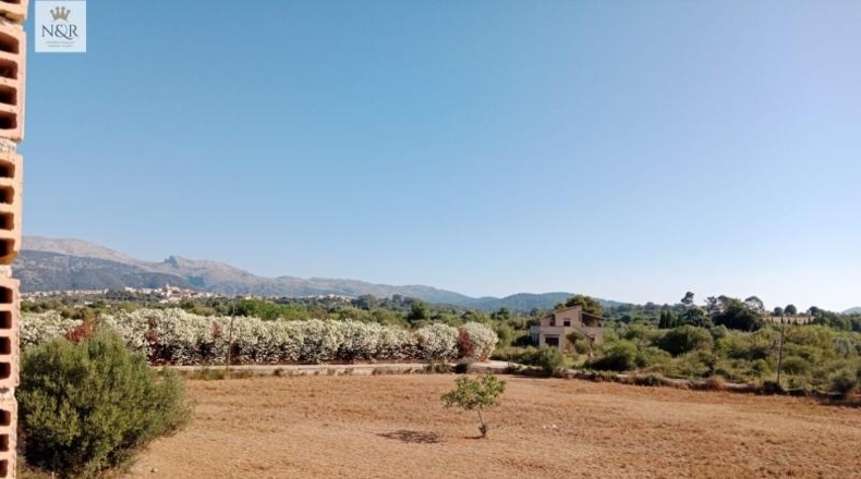 Islas Baleares - Búger - 17500m2