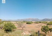 Chalet independiente con terreno en venta en la España, Búger, ref: TR264072 foto