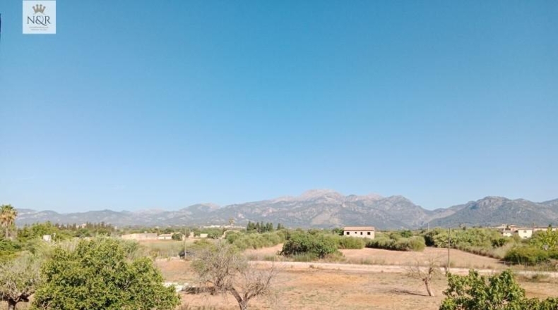 Islas Baleares - Búger - 17500m2