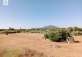 Chalet independiente con terreno en venta en la España, Búger, ref: TR264072 foto