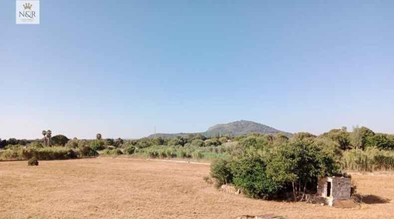 Islas Baleares - Búger - 17500m2