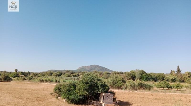 Islas Baleares - Búger - 17500m2