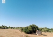 Chalet independiente con terreno en venta en la España, Búger, ref: TR264072 foto
