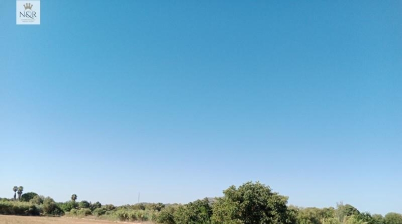 Islas Baleares - Búger - 17500m2