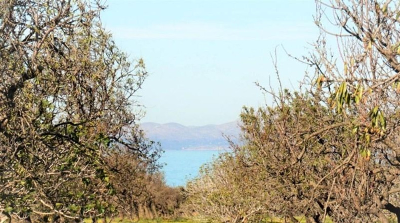 Islas Baleares - Artà - 108m2