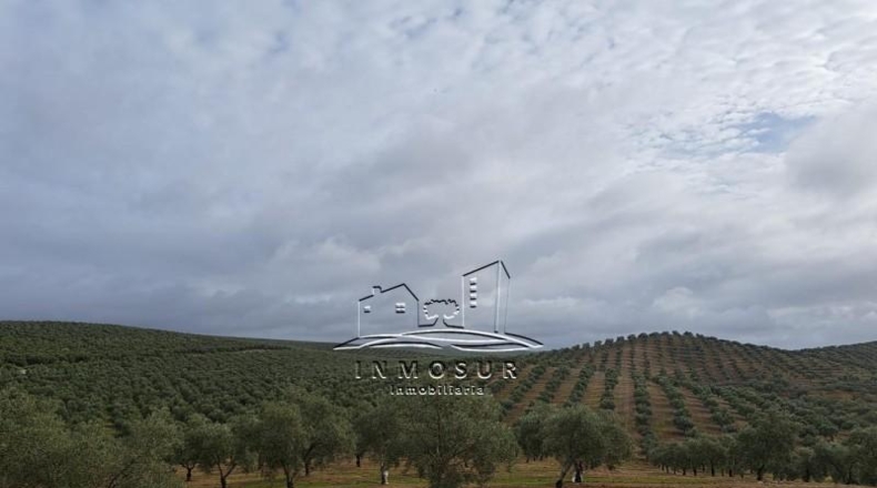 Córdoba - Benamejí - 320000m2