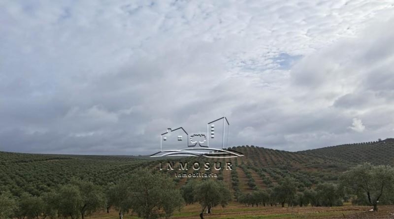 Córdoba - Benamejí - 320000m2