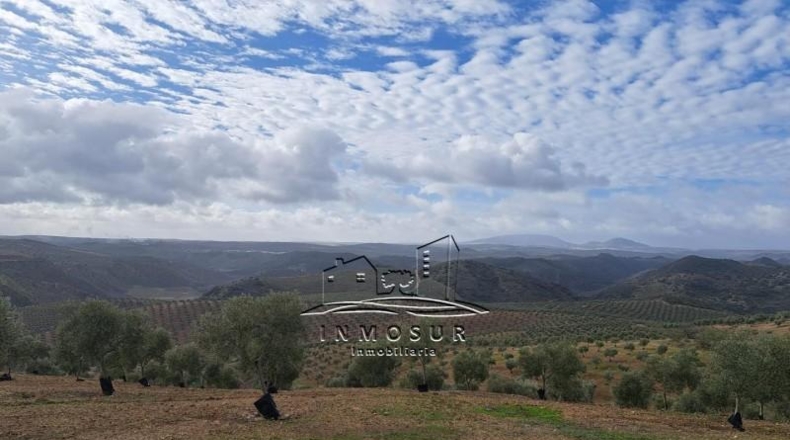 Córdoba - Benamejí - 320000m2