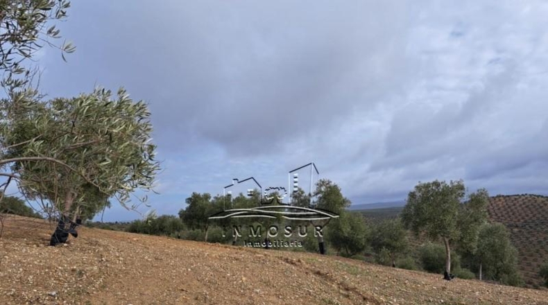 Córdoba - Benamejí - 320000m2