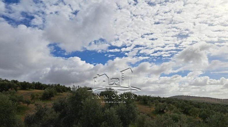 Córdoba - Benamejí - 320000m2