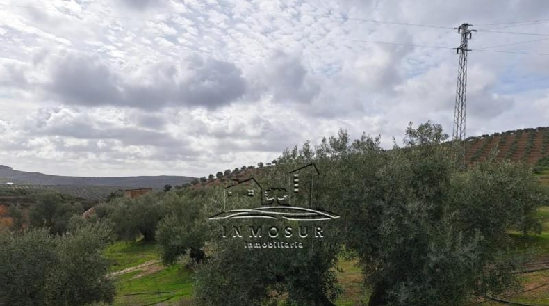 Córdoba - Benamejí - 320000m2