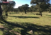 Xalet independent amb terreny en venda a la España, Torrecampo, ref.: TR352370 foto