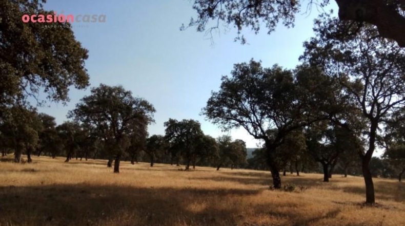 Córdoba - Torrecampo - 1m2