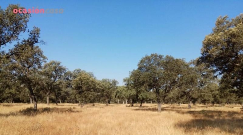 Córdoba - Torrecampo - 1m2