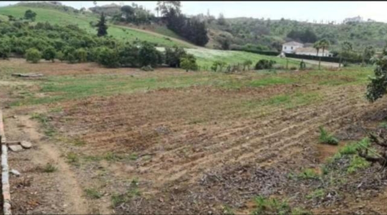 Málaga - Mijas - 10000m2