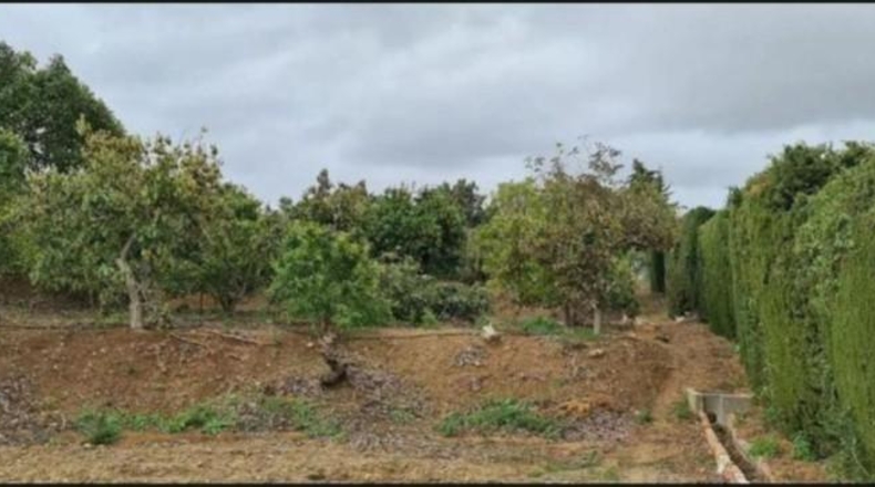 Málaga - Mijas - 10000m2