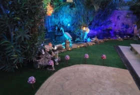Foto 15