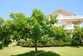 Isla 1820&nbsp;m²