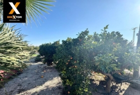 Murcia 6175&nbsp;m²