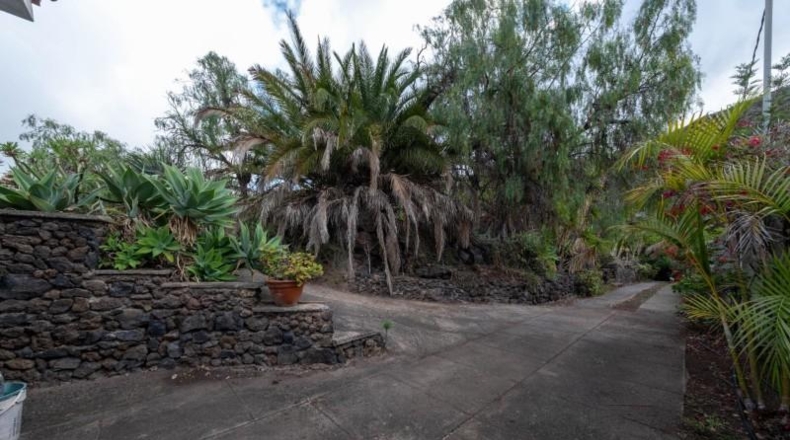 Las Palmas - Las Palmas de Gran Canaria - 3256m2