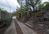 Chalet independiente con terreno en venta en la España, Las Palmas de Gran Canaria, ref: TR223346 foto