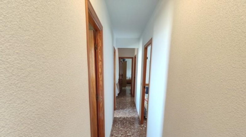 Alicante - Guardamar del Segura - 470m2