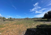 Terreno no urbanizable en venta en la España, Ses Salines, ref: TR388052 foto