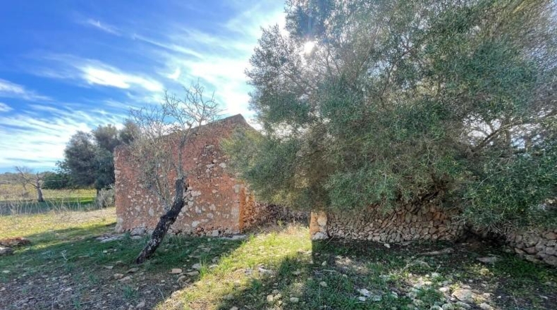 Balearic Islands - Лас-Салинас - 35954m2