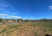 Terreno no urbanizable en venta en la España, Ses Salines, ref: TR388052 foto