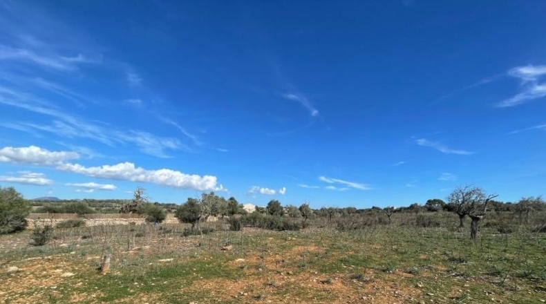 Balearic Islands - Лас-Салинас - 35954m2
