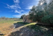 Terreno no urbanizable en venta en la España, Ses Salines, ref: TR388052 foto