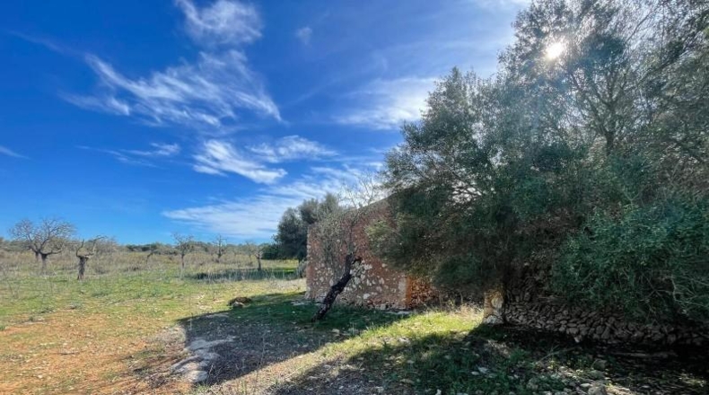 Balearic Islands - Лас-Салинас - 35954m2