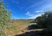 Terreno no urbanizable en venta en la España, Ses Salines, ref: TR388052 foto