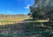 Terreno no urbanizable en venta en la España, Ses Salines, ref: TR388052 foto