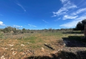 Terreno no urbanizable en venta en la España, Ses Salines, ref: TR388052 foto