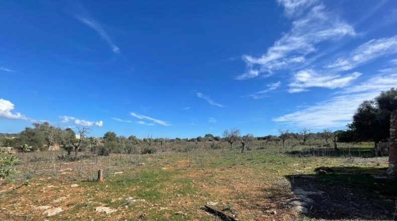 Balearic Islands - Лас-Салинас - 35954m2